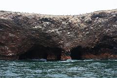 1159-Isole Ballestas,19 luglio 2013
